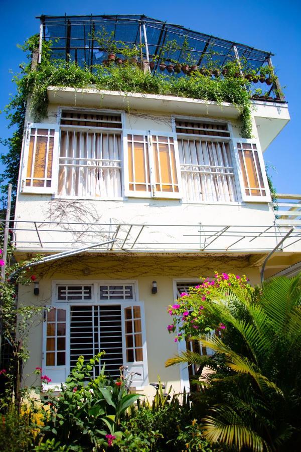 Skybird Homestay Hoi An Eksteriør billede