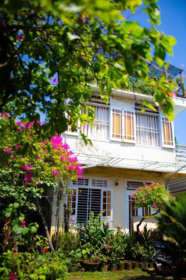 Skybird Homestay Hoi An Eksteriør billede