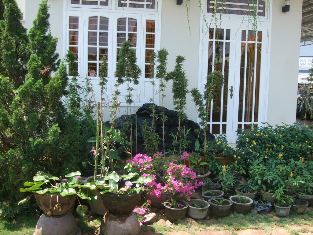 Skybird Homestay Hoi An Eksteriør billede
