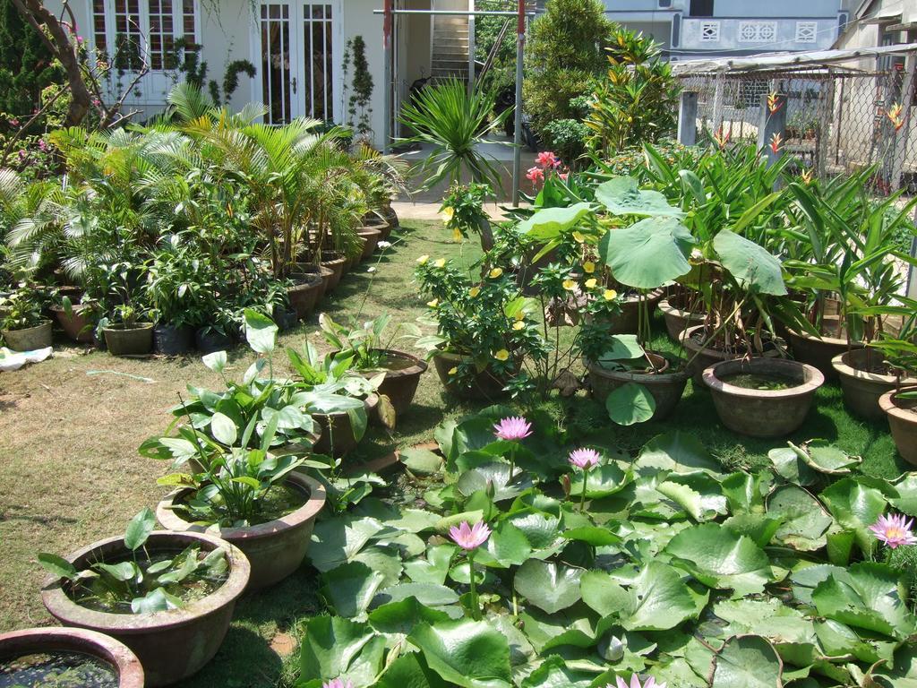 Skybird Homestay Hoi An Eksteriør billede